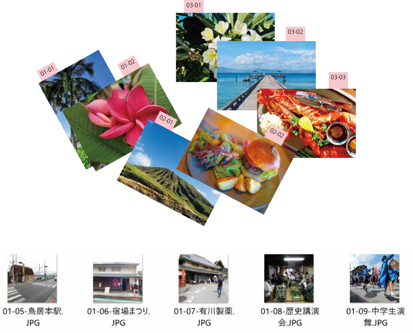 写真・イラスト原稿