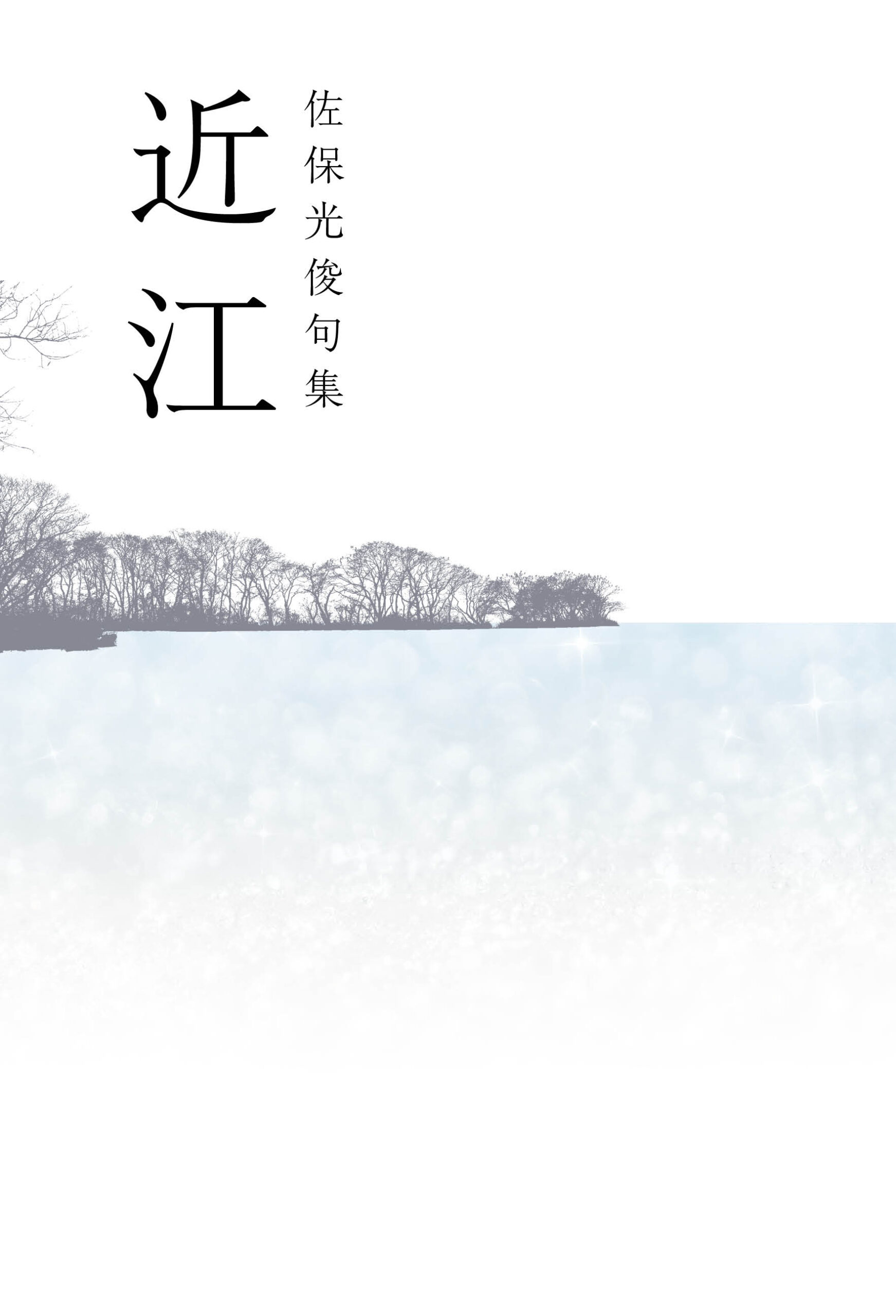 佐保光俊句集 近江