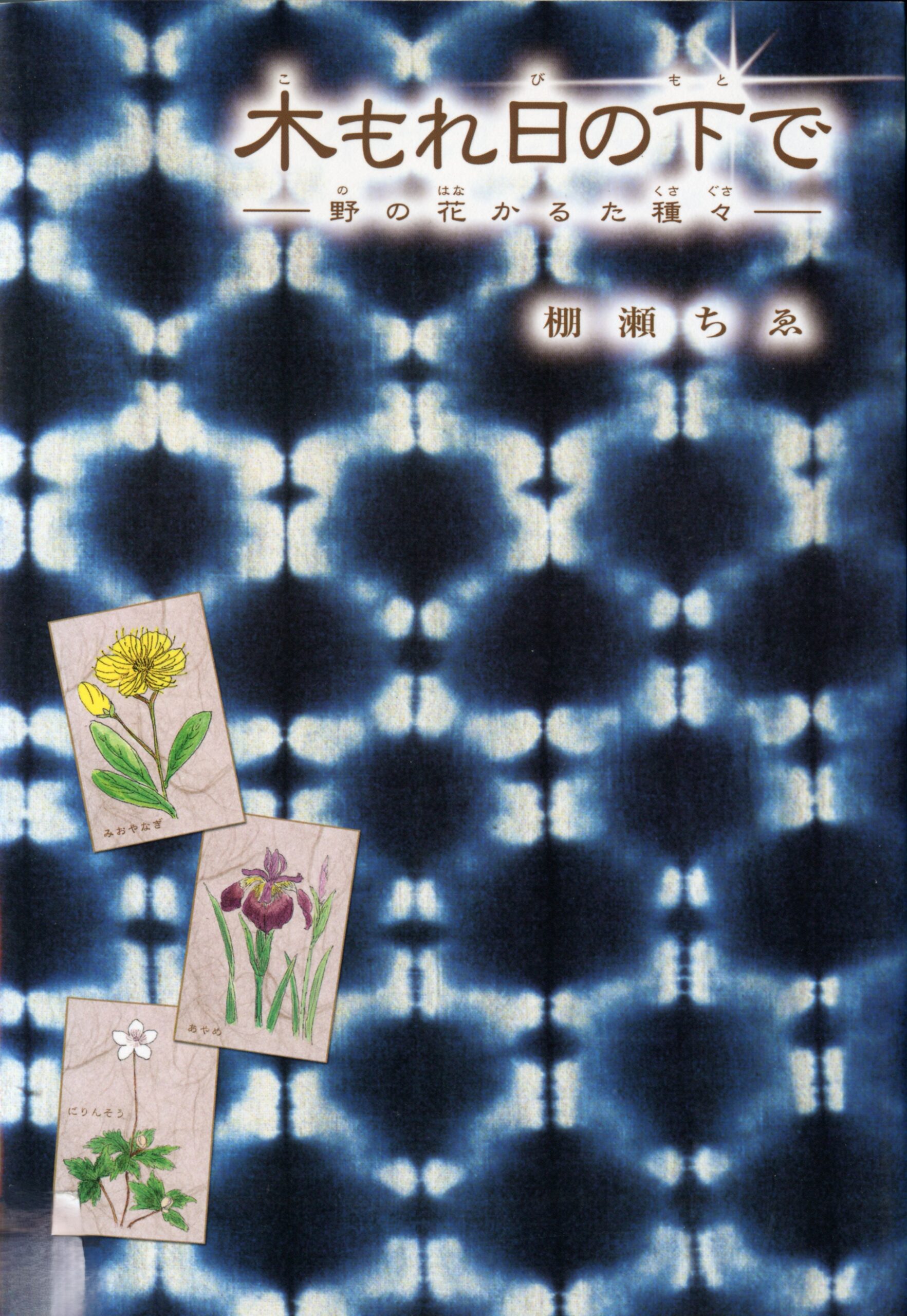 木もれ日の下で－野の花かるた種々