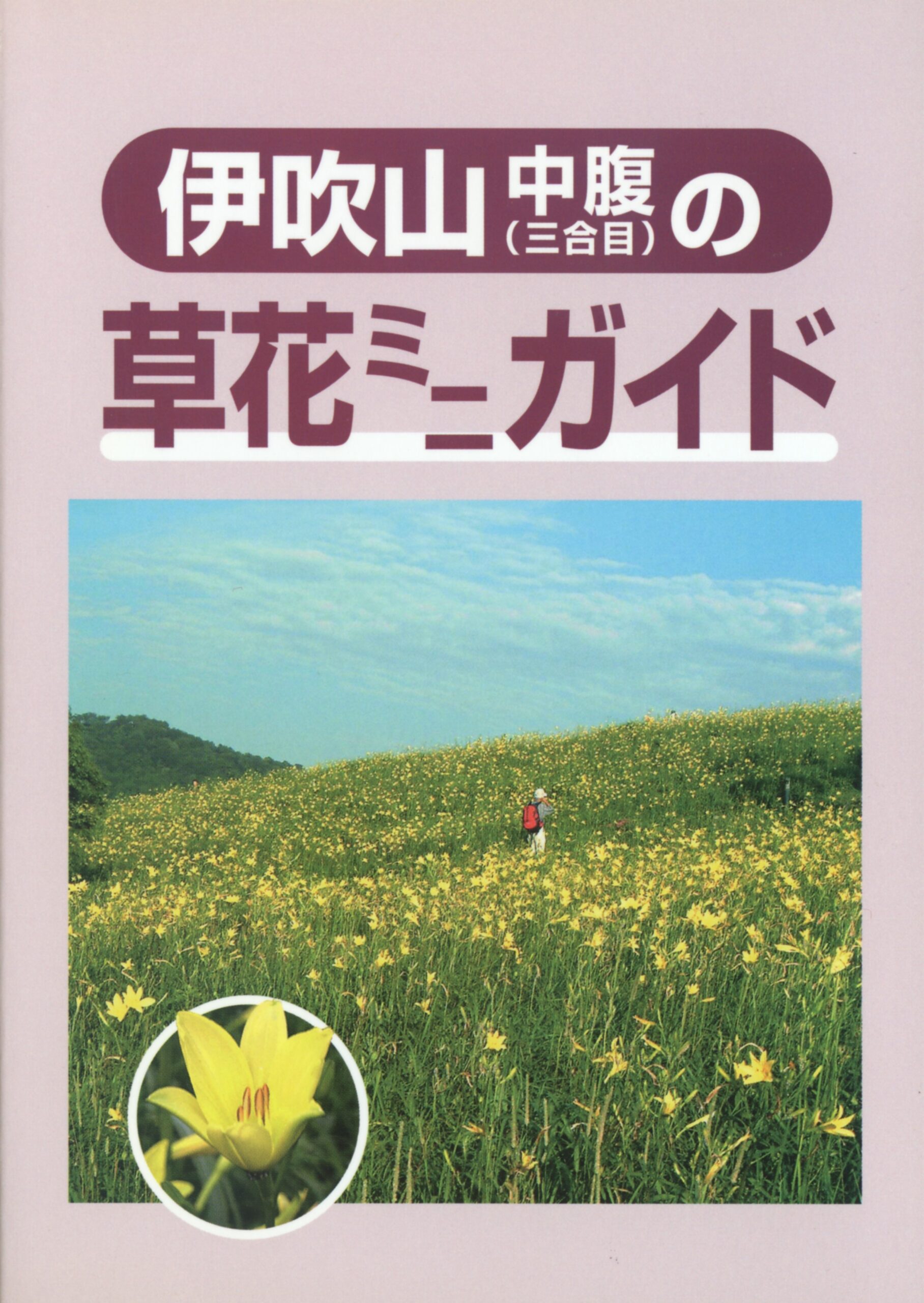 伊吹山中腹（三合目）の草花ミニガイド