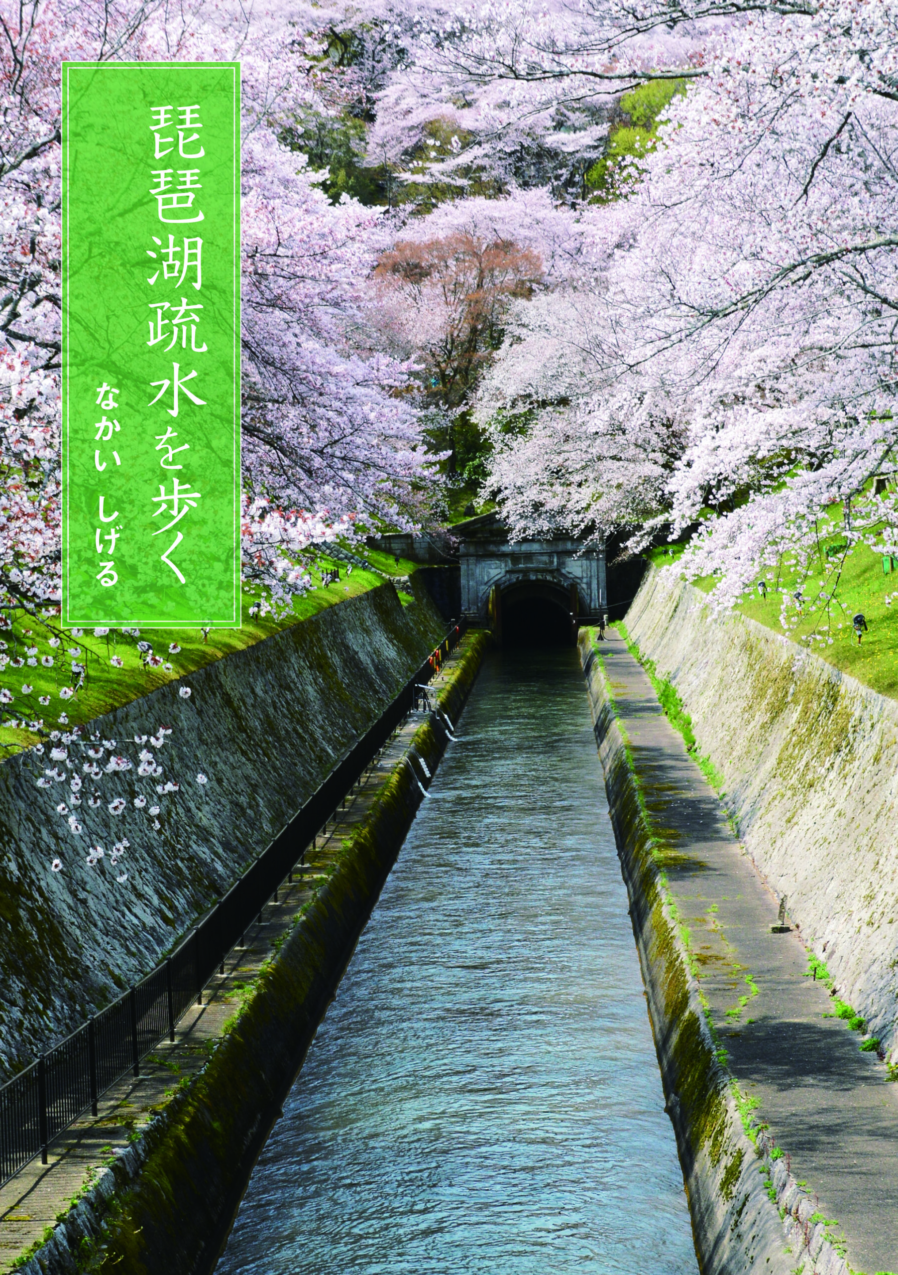 琵琶湖疏水を歩く