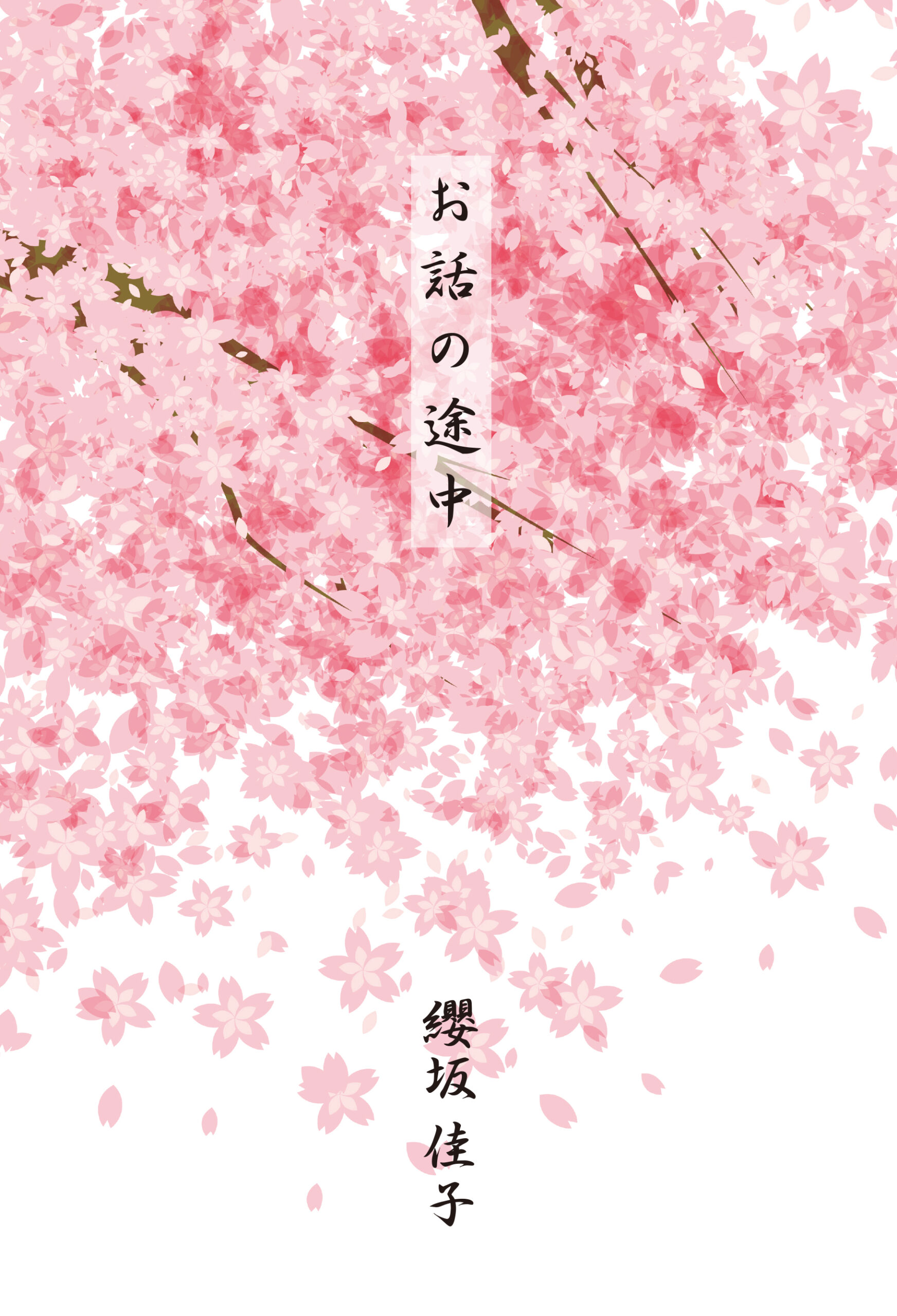 歌集 お話の途中