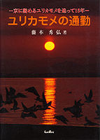 ユリカモメの通勤