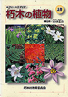 朽木の植物　上