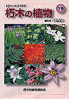 朽木の植物　下