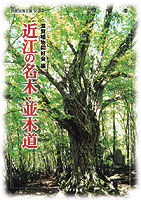 近江の名木・並木道