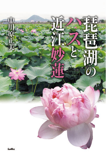 琵琶湖のハスと近江妙蓮