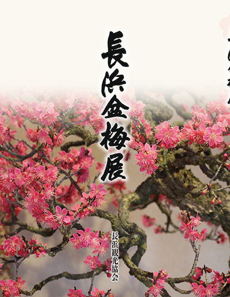 長浜盆梅展