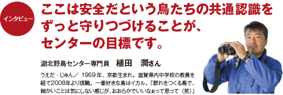 122intatop ここは安全だという鳥たちの共通認識をずっと守りつづけることが、センターの目標です。 湖北野鳥センター専門員 植田 潤さん