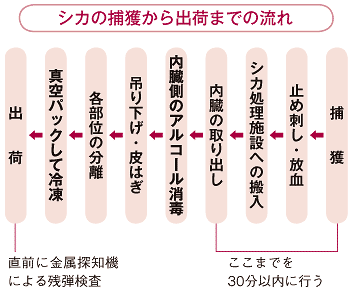 シカの捕獲から出荷までの流れ