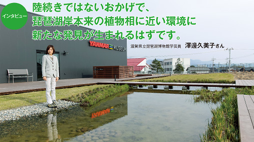 109sawabetop インタビュー:陸続きではないおかげで、琵琶湖岸本来の植物相に近い環境に新たな発見が生まれるはずです。