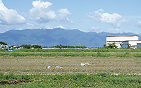 114-genzai 現在(廃川後)の同じ場所