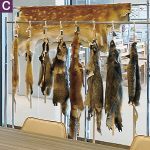 いろいろな動物の毛並みを体感できる