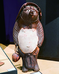135tanuki