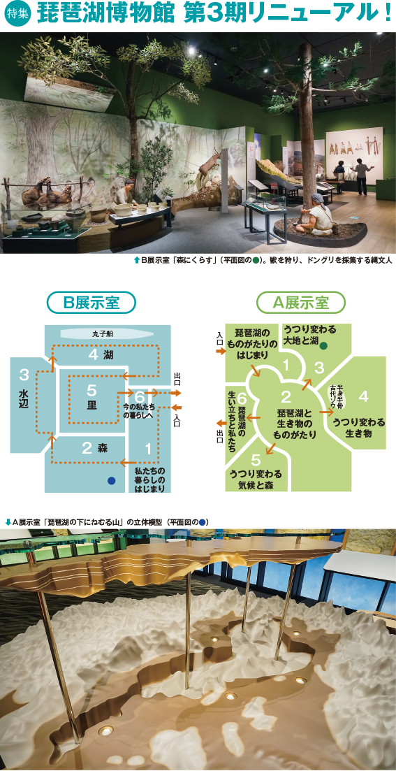 A展示室とB展示室　平面図