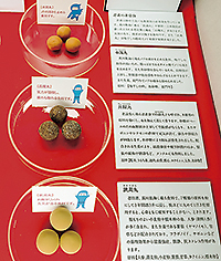 137hijoshoku 忍者の携帯食3種