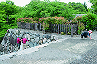 138seisou 博物館周辺の清掃活動