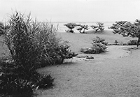 141S35satsuei 昭和35年(1960)に撮影された蘆花浅水荘庭園と琵琶湖
