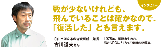 インタビュー：数が少ないけれども、飛んでいることは確かなので、「復活した」とも言えます。