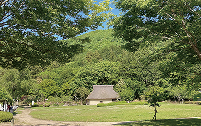 現在の近江風土記の丘